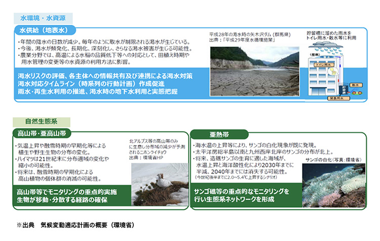 水・生態系への影響と適応策の図表