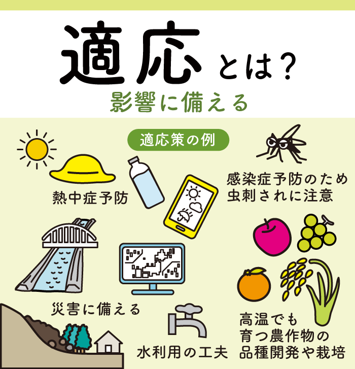 気候変動の影響に備える取組（適応）のイラスト