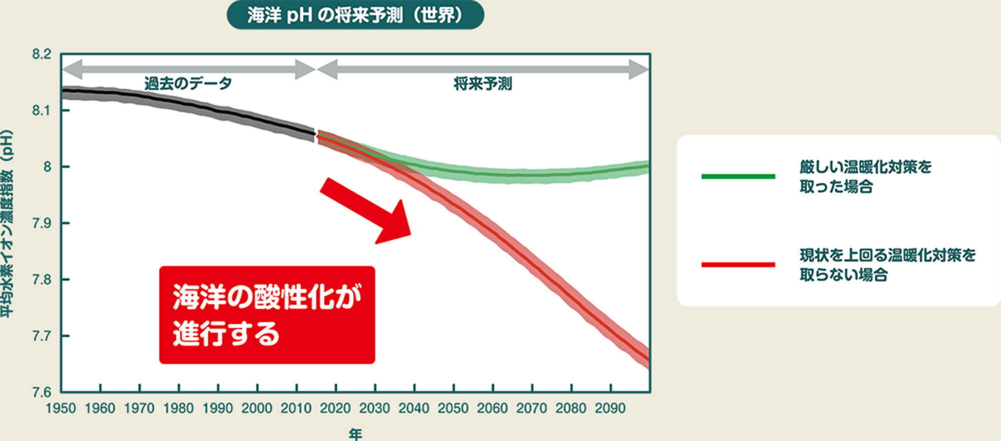 海洋pHの将来予測（世界）