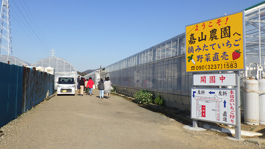 いちごはうす嘉山農園