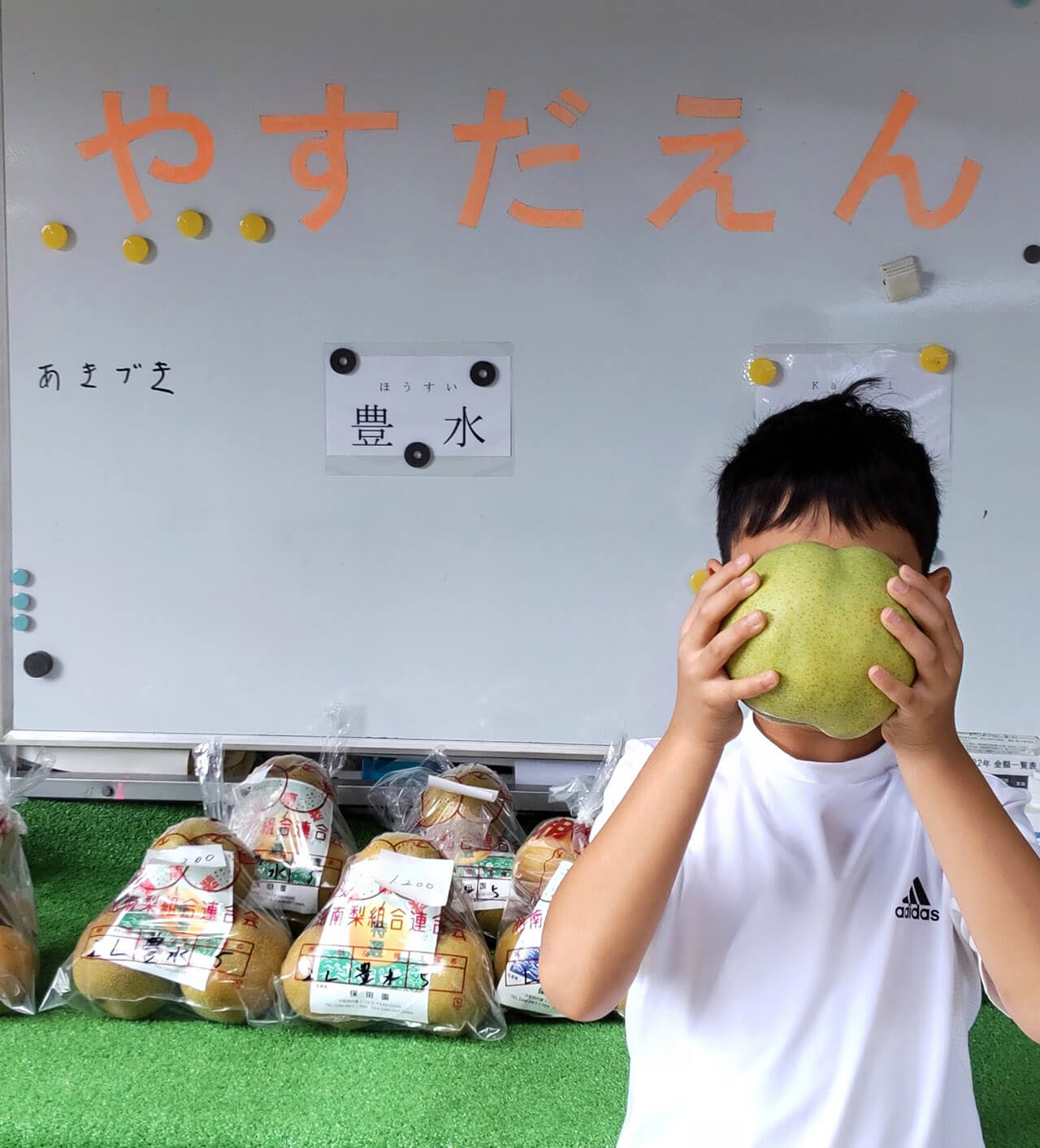 保田 奈穂美の写真