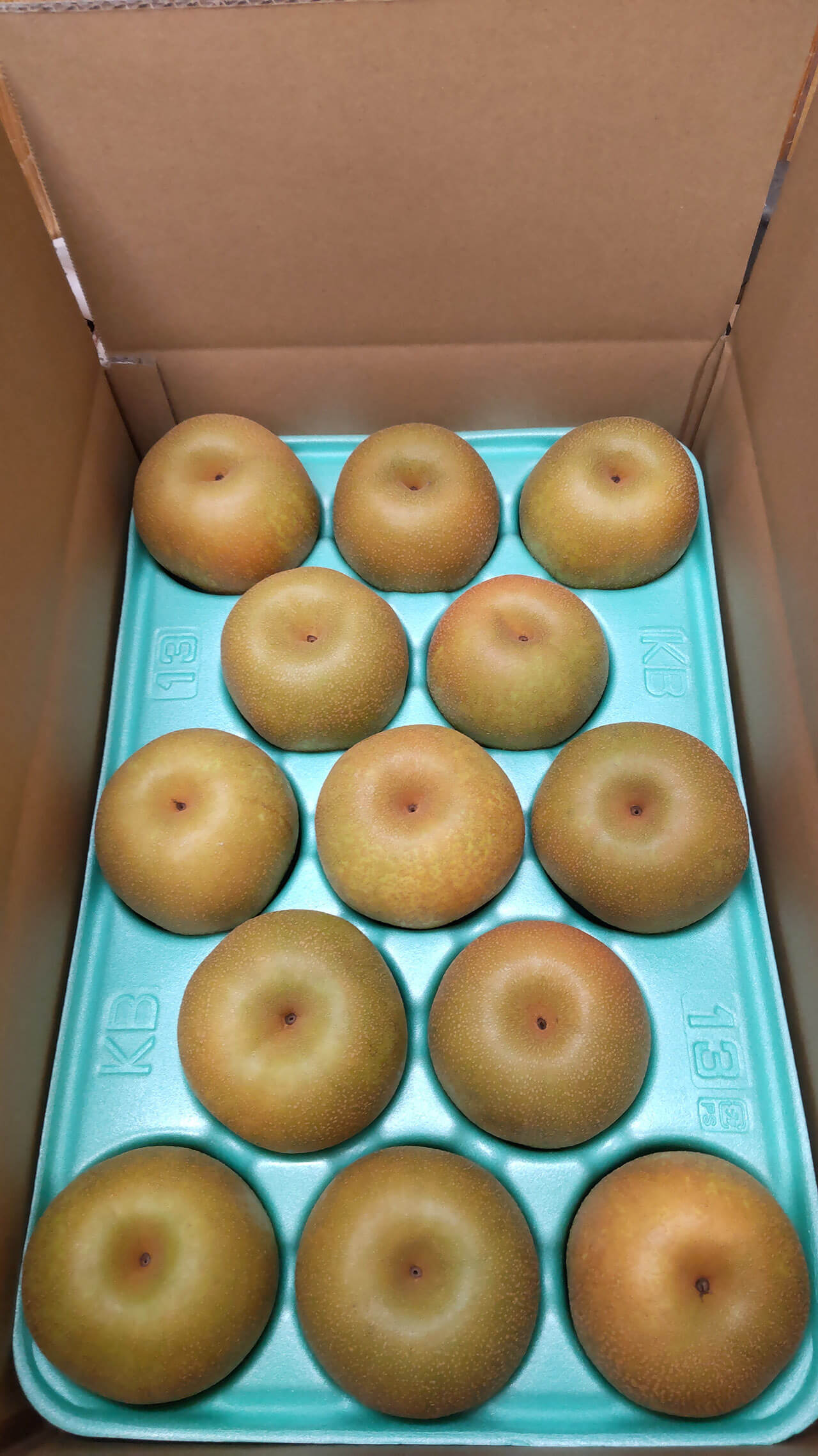 保田 奈穂美の写真