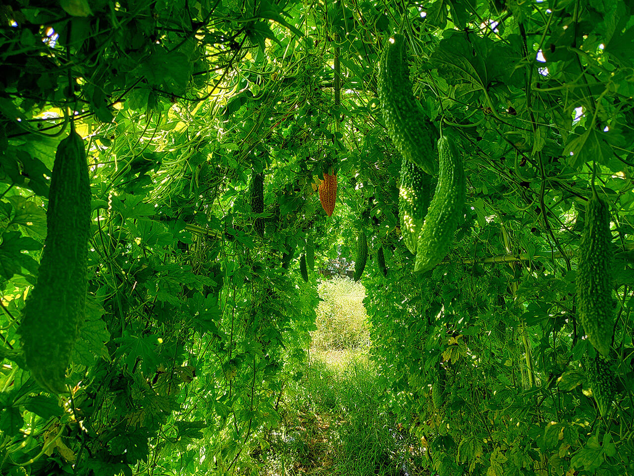 川村 絵美子の写真