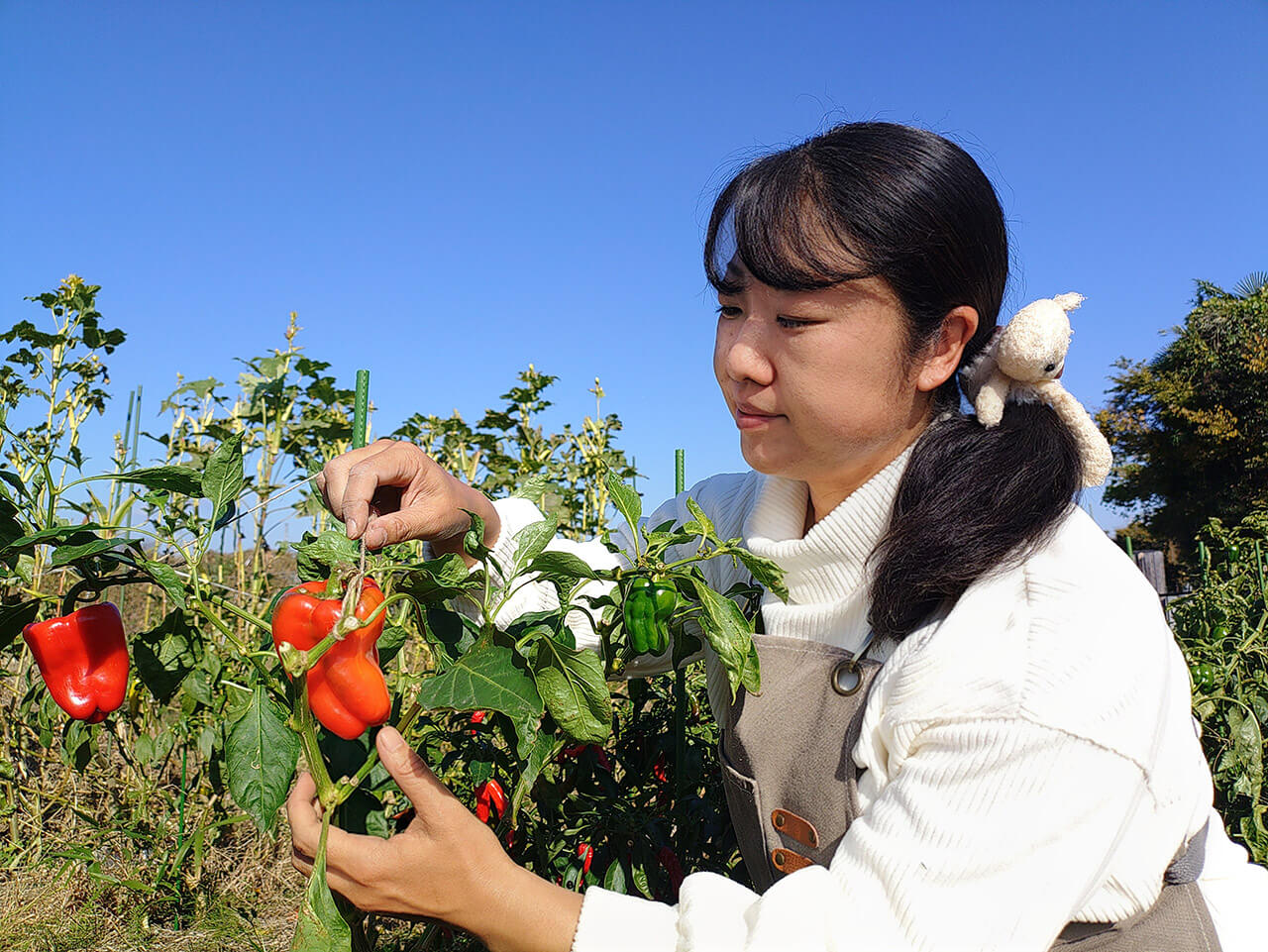 川村 絵美子の写真