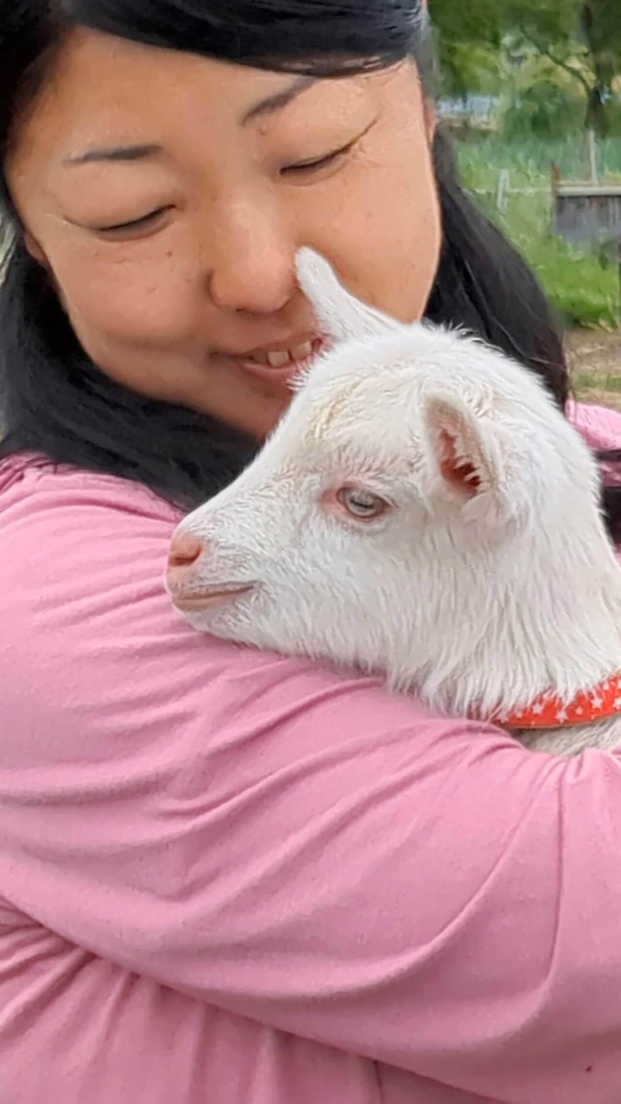 川村 絵美子の写真