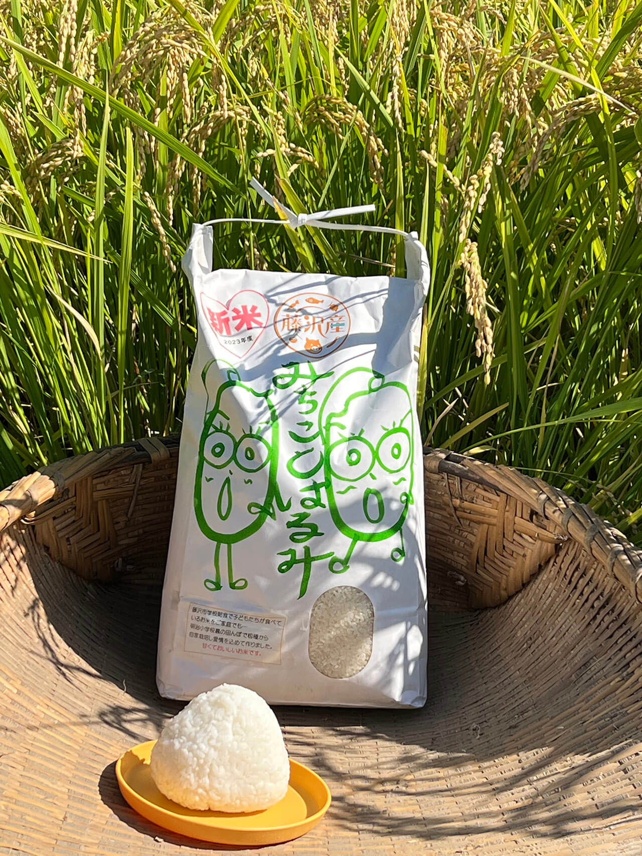 川島 美智子の写真