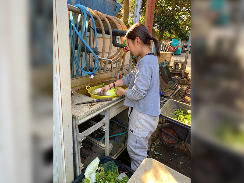 平本 春香の写真