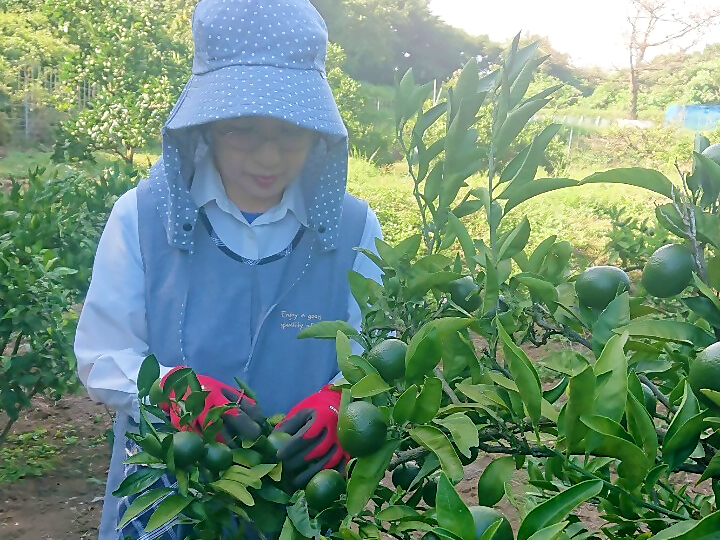 窪田 操の写真