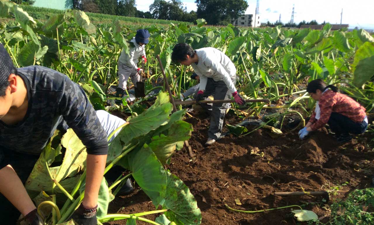 神奈川県女性農業体験研修