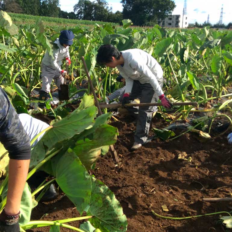 神奈川県女性農業体験研修