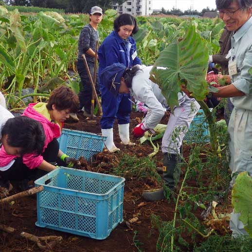 女性農業体験研修のご案内