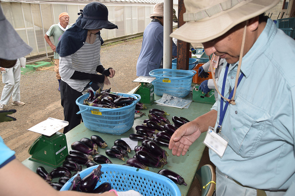 売るまでが、農業