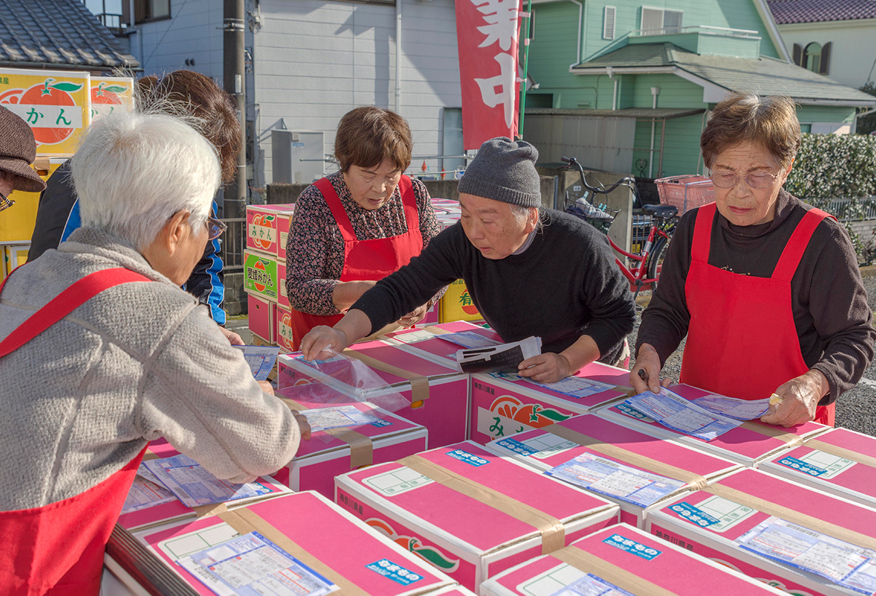 足柄上地区の特産でもあるみかん