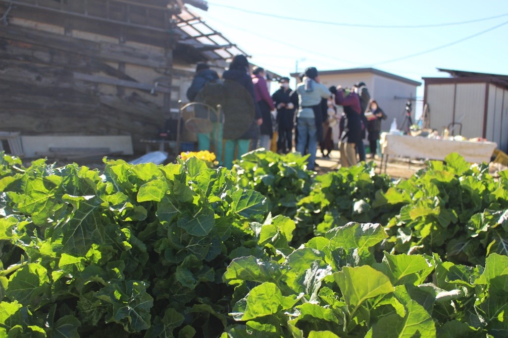 川崎市女性農業担い手の会「あかね会」　『オンライン料理教室』動画撮影