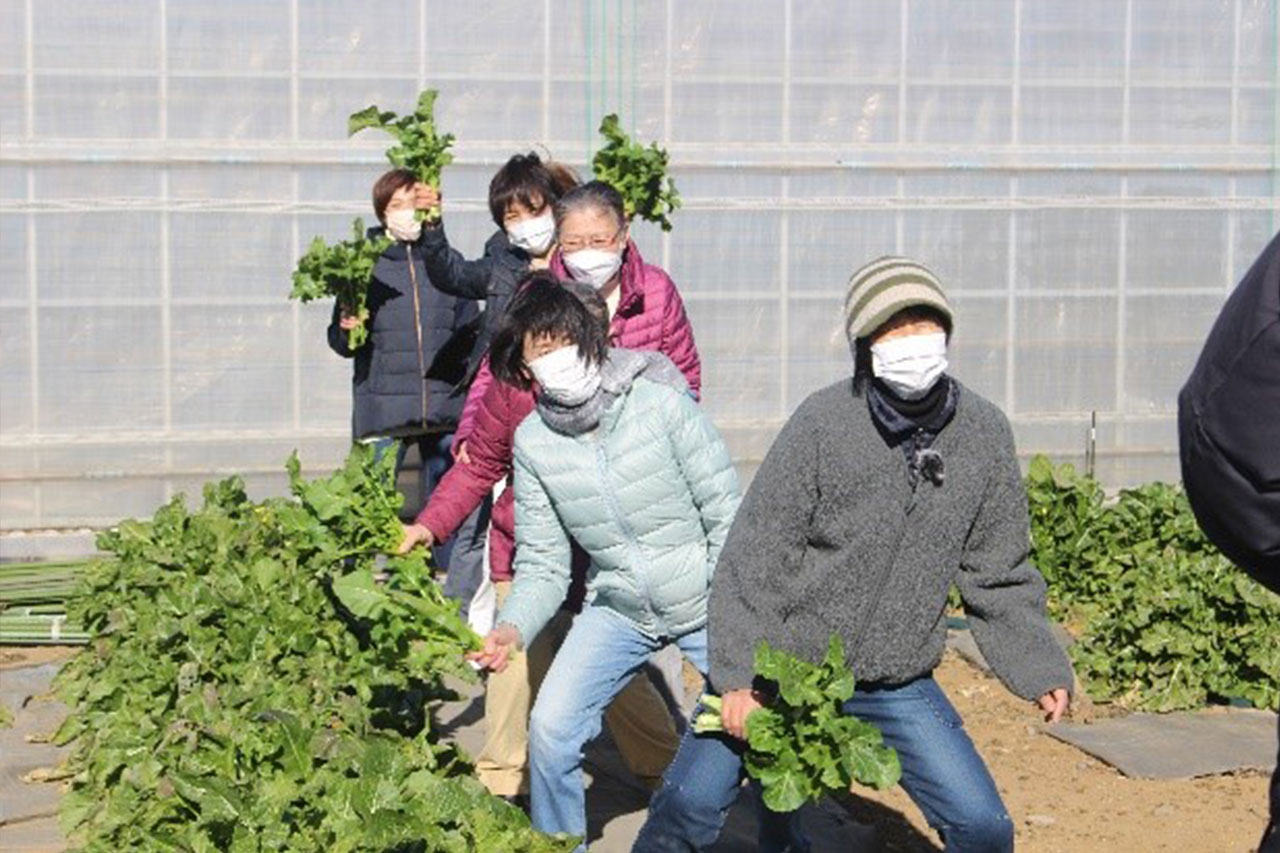 収穫しながら食べる姿