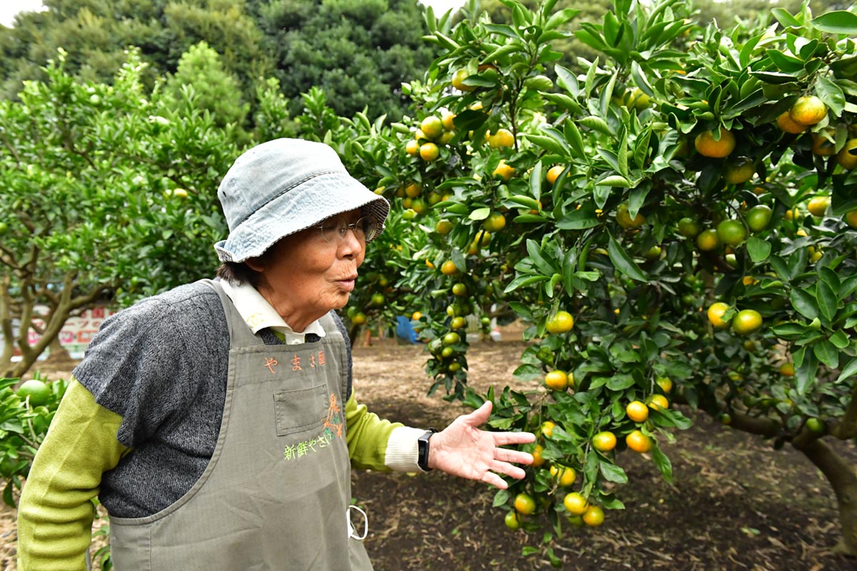 三浦は「大変な場所だ」