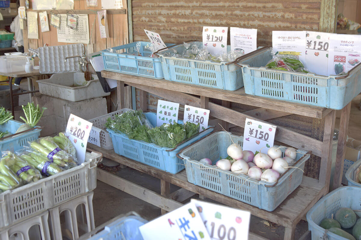 直売所に並ぶ野菜や鶏卵