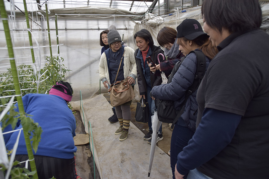 母娘3人、農作業に汗