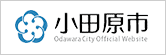 Odawara City (opens in a new window)