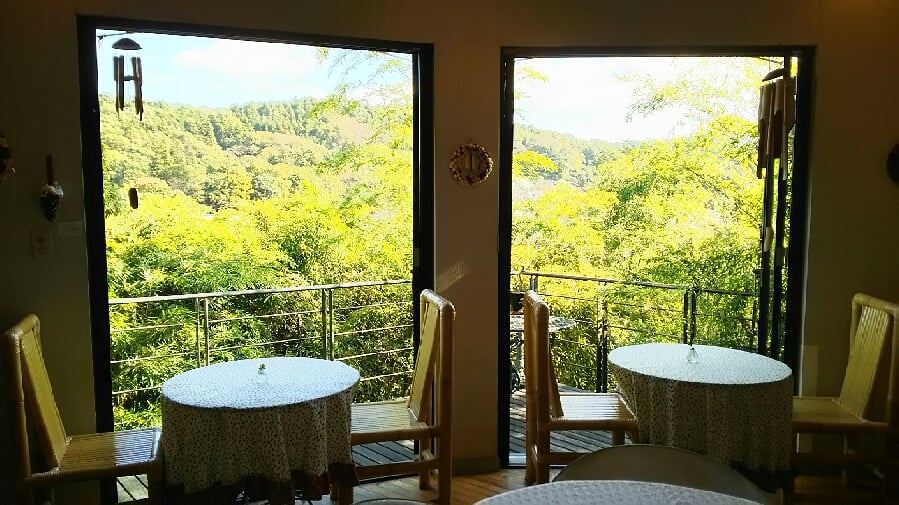 北镰仓 GALLERY & CAFE NEST