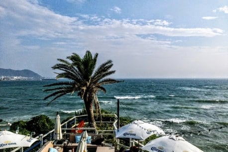 Beach House「surfers」