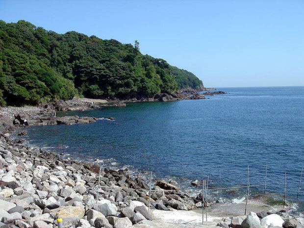 Fukuura Diving service