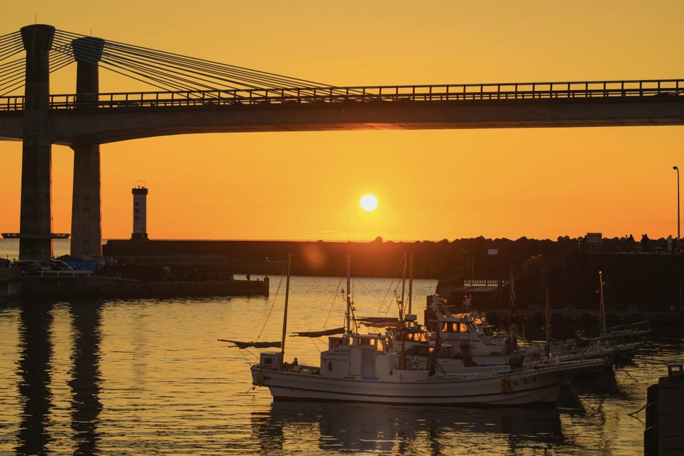  Fish auction market tour & fishing port breakfast tour