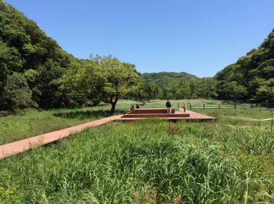 Koajiro no Mori (Koajiro Forest)