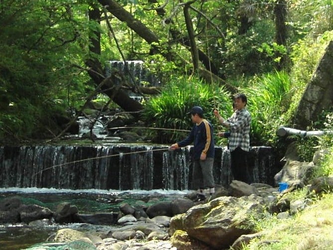 Shiraito Mass Fishing Center