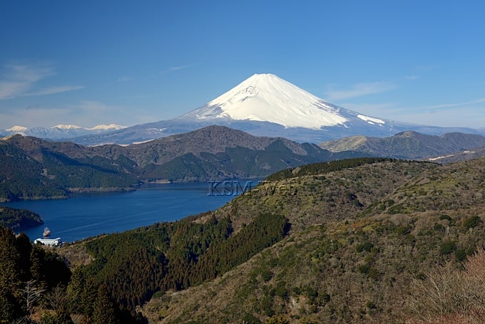 Daikanyama Observatory