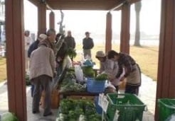 Katase Fishing Port Direct Selling Place