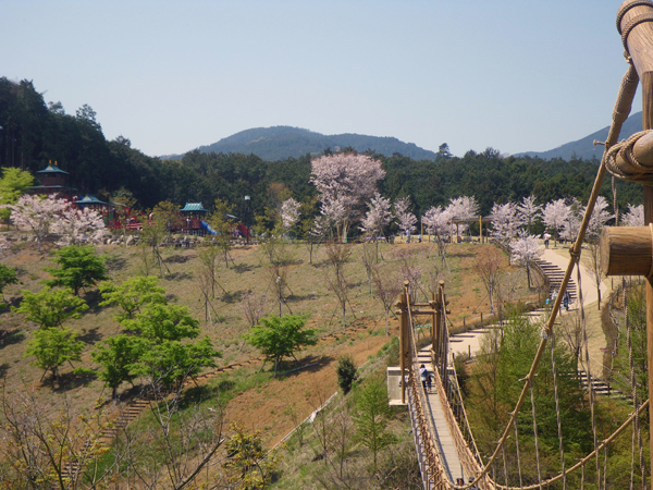 Odawara Children's Forest Wanpaku Land