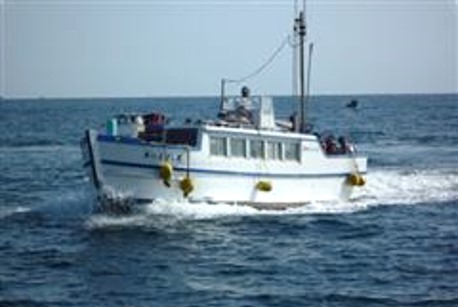 Eboshi Rock Cruise Ship