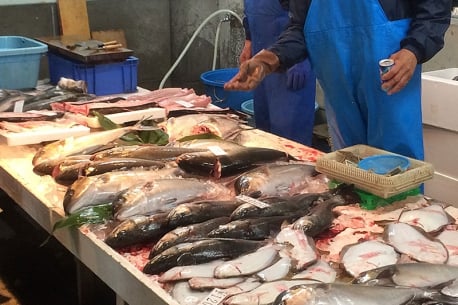 Kaneda-wan Asaichi (Kaneda bay morning market)