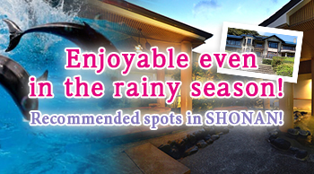 Enjoyable even in the rainy season! Recommended spots in SHONAN!