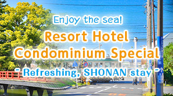 Resort Hotel Condominium Special