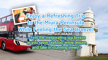 vol.56 Enjoy a Refreshing Trip to the Miura Peninsula While Feeling the Sea Breeze!