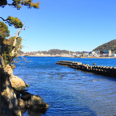 모리토다이묘진 신사2