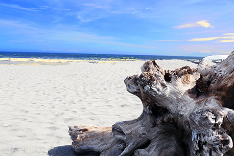 辻堂沙滩(辻堂海岸)