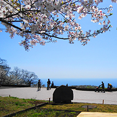 湘南平（高麗山公園）2