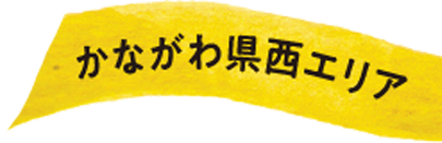 かながわ県西エリア