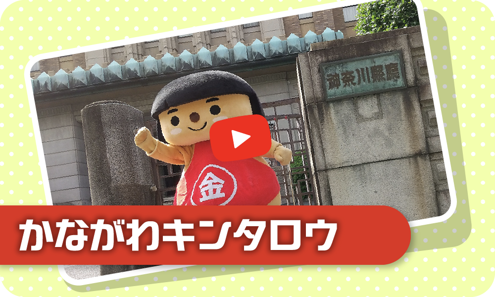 かながわキンタロウ