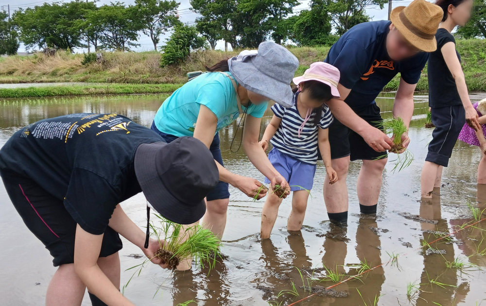 食育田植え体験なども開催