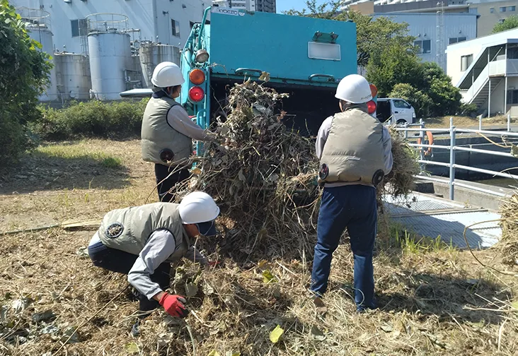 雑草を複数人で回収するお仕事をしている写真
