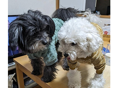 ワンダフルライフ伊勢原