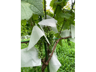 神奈川ワークショップ