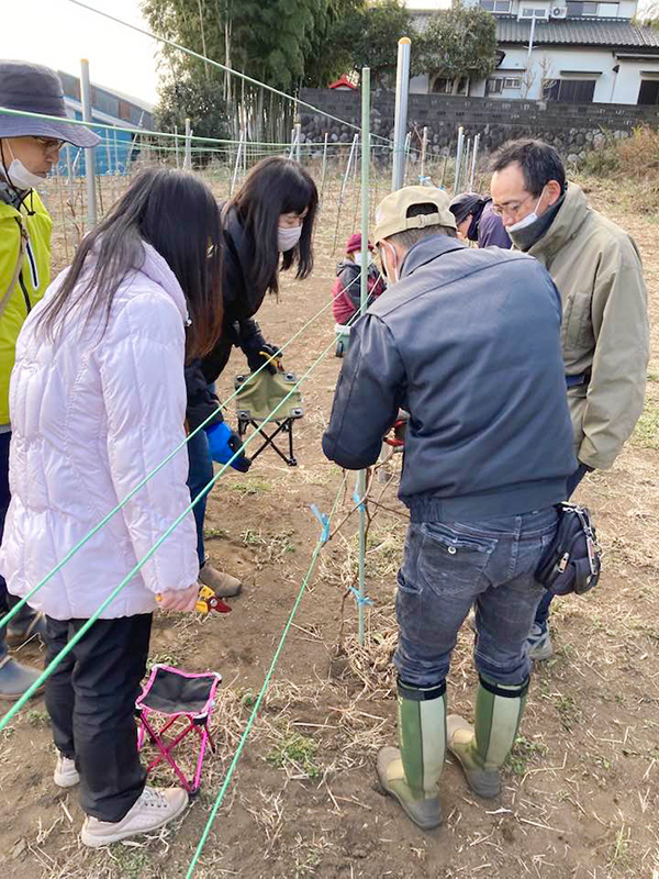 国産ワインの名産地、山梨県から生産者を招き、誘引作業の指導を受けた