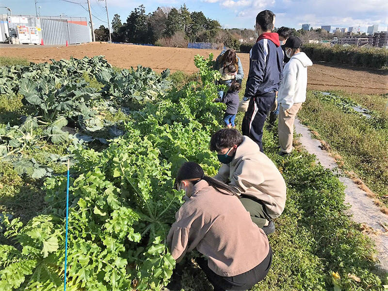 農産物生産の風景