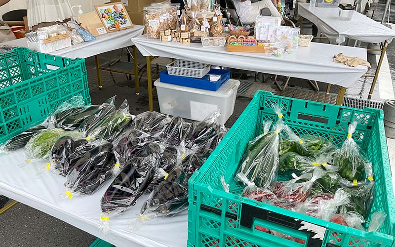 平塚市内で丹念に育てた新鮮野菜