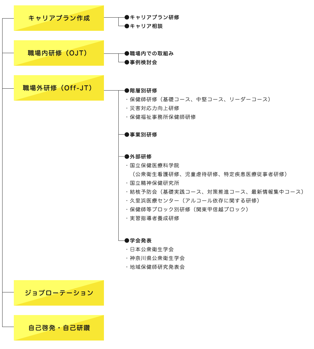 研修体系図のイメージ